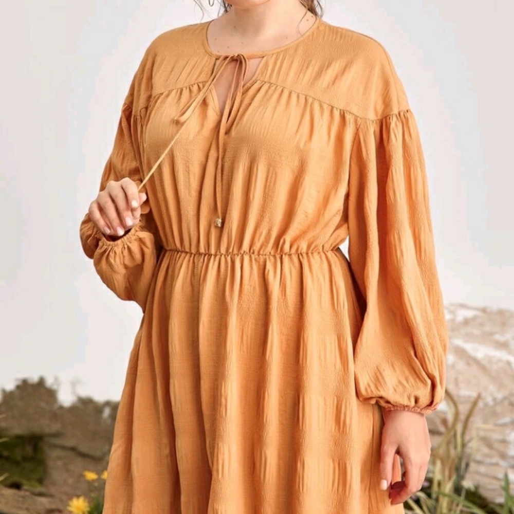 NEW Plus Tie Neck A Line Dress - Picture 4 of 5